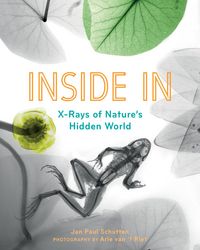 Produktbild: Schutten, J: Inside in