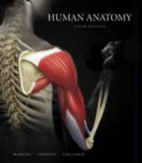 Produktbild: Human Anatomy