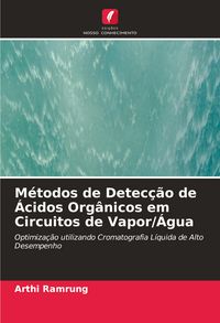 Produktbild: M&eacute;todos de Detec&ccedil;&atilde;o de &Aacute;cidos Org&acirc;nicos em Circuitos de Vapor/&Aacute;gua