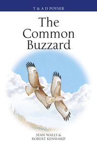 Produktbild: The Common Buzzard