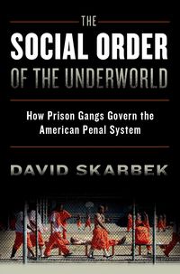 Produktbild: The Social Order of the Underworld