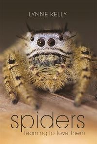 Produktbild: Spiders