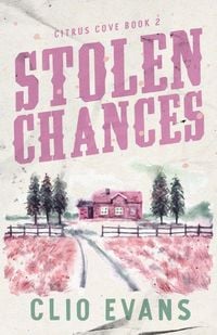 Produktbild: Stolen Chances
