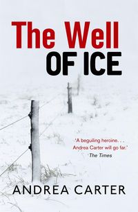 Produktbild: Carter, A: The Well of Ice
