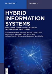 Produktbild: Hybrid Information Systems
