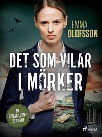 Produktbild: Det som vilar i m&ouml;rker