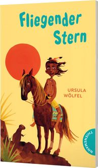 Produktbild: Fliegender Stern