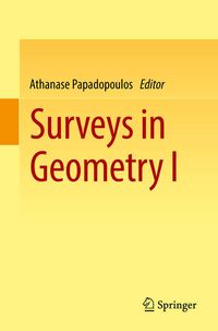 Produktbild: Surveys in Geometry I