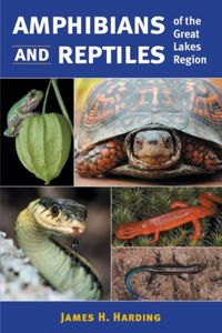 Produktbild: Harding, J:  Amphibians and Reptiles of the Great Lakes Regi