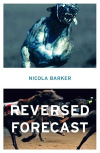 Produktbild: Reversed Forecast