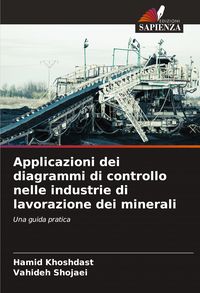 Produktbild: Applicazioni dei diagrammi di controllo nelle industrie di lavorazione dei minerali