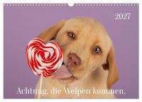 Produktbild: Achtung die Welpen kommen. (Wandkalender 2027 DIN A3 quer), CALVENDO Monatskalender