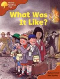 Produktbild: Oxford Reading Tree: Stage 8: More Storybooks A: What Was it