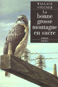 Produktbild: Bonne grosse montagne en sucre
