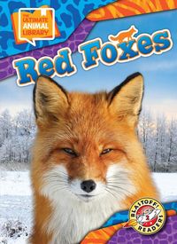 Produktbild: Red Foxes