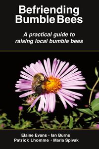 Produktbild: Befriending Bumble Bees