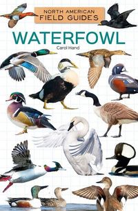 Produktbild: Waterfowl