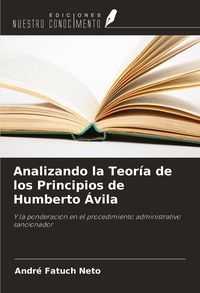 Produktbild: Analizando la Teor&iacute;a de los Principios de Humberto &Aacute;vila