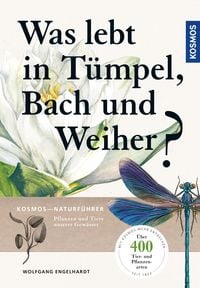 Produktbild: Was lebt in T&uuml;mpel, Bach und Weiher
