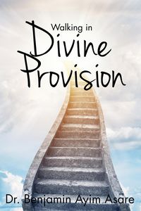 Produktbild: Walking in Divine Provision