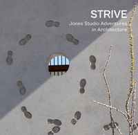 Produktbild: Strive