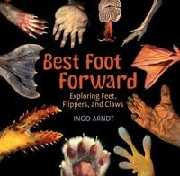 Produktbild: Best Foot Forward