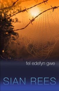 Produktbild: Fel Edefyn Gwe