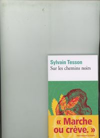 Bild vom Artikel Sur les chemins noirs vom Autor Sylvain Tesson