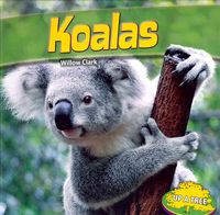 Produktbild: Koalas