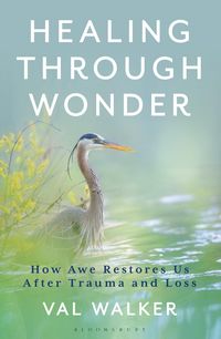 Produktbild: Healing Through Wonder