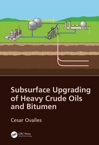 Produktbild: Subsurface Upgrading of Heavy Crude Oils and Bitumen