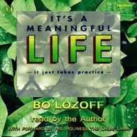 Produktbild: It's a Meaningful Life