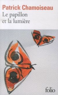 Produktbild: Le papillon et la lumi&egrave;re