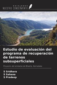 Produktbild: Estudio de evaluaci&oacute;n del programa de recuperaci&oacute;n de terrenos subsuperficiales