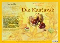 Produktbild: Natur-Kamishibai / Natur-Kamishibai Die Kastanie