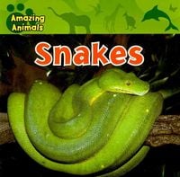 Produktbild: Snakes