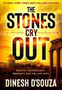 Produktbild: The Stones Cry Out