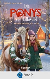 Produktbild: Die Ponys von Lillasund 3. Winterzauber im Stall
