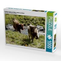 Produktbild: CALVENDO Puzzle Scottish Highland K&auml;lber spielen am Bach | 1000 Teile Lege-Gr&ouml;&szlig;e 64x48cm Foto-Puzzle f&uuml;r gl&uuml;ckliche Stunden