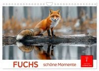Produktbild: Fuchs - sch&ouml;ne Momente (Wandkalender 2027 DIN A4 quer), CALVENDO Monatskalender