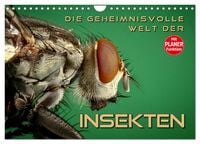 Produktbild: Die geheimnisvolle Welt der Insekten (Wandkalender 2026 DIN A4 quer), CALVENDO Monatskalender