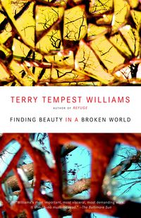 Produktbild: Finding Beauty in a Broken World