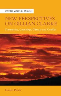 Produktbild: New Perspectives on Gillian Clarke