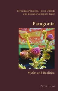 Produktbild: Patagonia