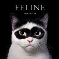 Produktbild: Feline