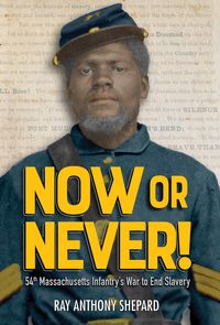 Produktbild: Now or Never!