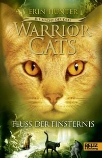 Produktbild: Warrior Cats 3/02: Die Macht der drei. Fluss der Finsternis