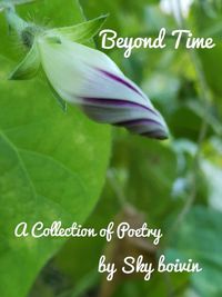 Produktbild: Beyond Time