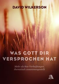 Bild vom Artikel Was Gott dir versprochen hat vom Autor David Wilkerson