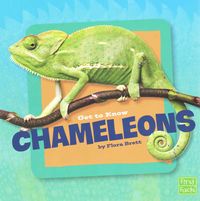 Produktbild: Get To Know Chameleons